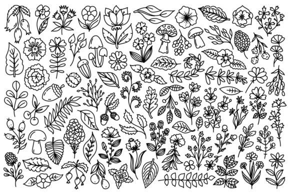 Download Nature Line Art Illustrations - Nature Collection