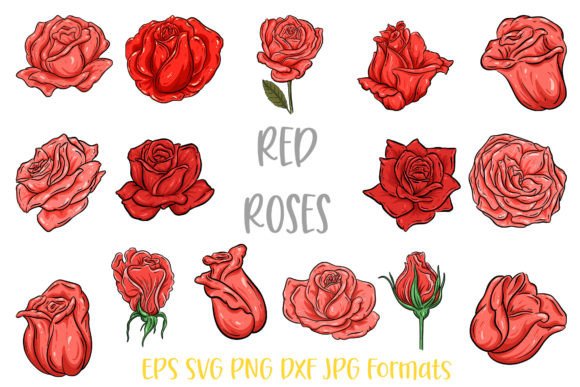 Download Red  Rose Flower Line Art Illustrations - Illustrations Collection
