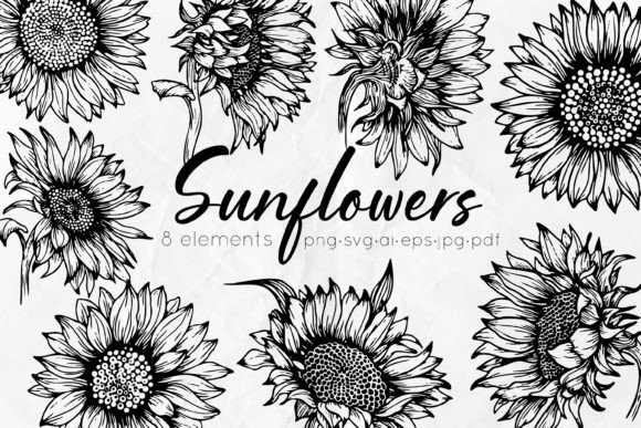Download Sunflowers Line Art Illustrations - Illustrations Collection