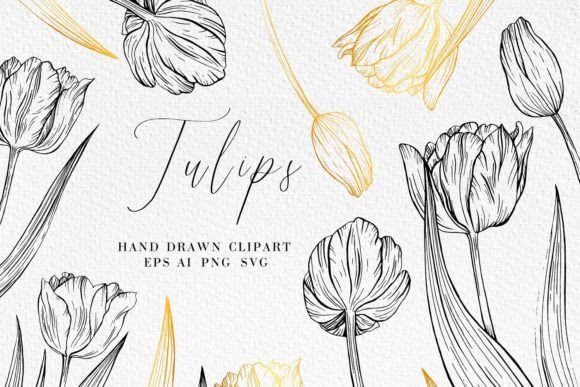 Download Tulip Line Art Illustrations - Illustrations Collection