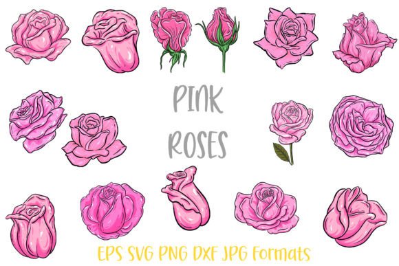 Download Pink Rose Flower Line Art Illustrations - Illustrations Collection