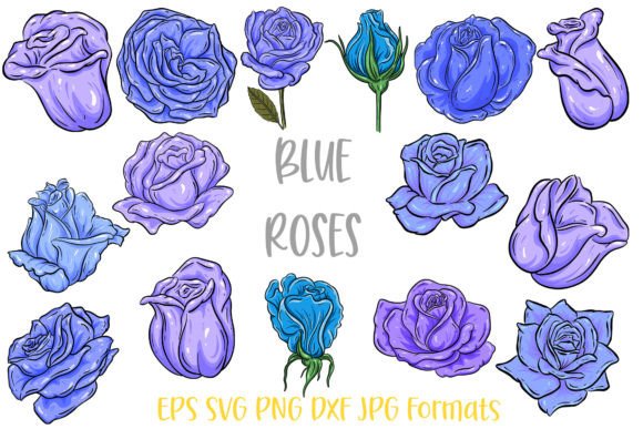 Download Blue Rose Flower Line Art Illustrations - Illustrations Collection